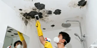 Person removing mold from bathroom ceiling using non-toxic spray — bathroom ceiling mold removal guide