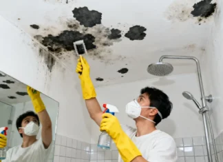 Bathroom Ceiling Mold Removal: Non-Toxic Methods That Actually Work Person removing mold from bathroom ceiling using non-toxic spray — bathroom ceiling mold removal guide