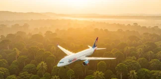 Airplane flying over a green forest landscape representing travel carbon offset programs and flight emissions reduction