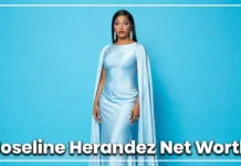 Joseline Hernandez Net Worth 2026: From the Strip Club to the Cabaret Stage Joseline Hernandez net worth 2026 — reality TV star and executive producer of Joseline's Cabaret on Zeus Network
