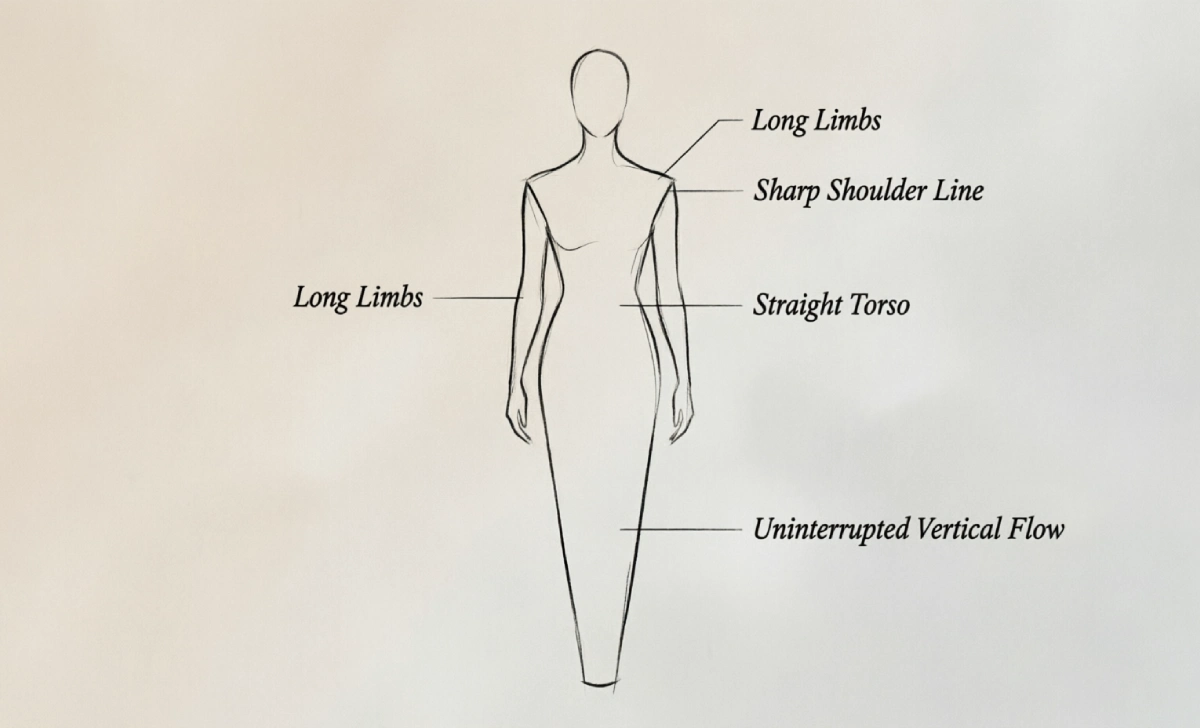 Diagram of Kibbe Dramatic body type traits matching taylor swift kibbe type evidence