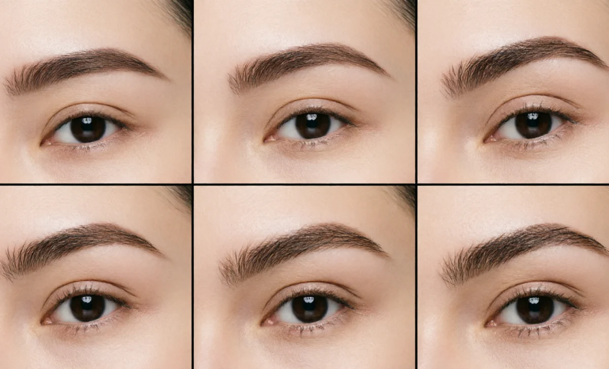 Comparison of different eyebrow shapes including straight, arched, rounded, and feathered brows